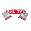 Hercules Merchandise Recycled cotton scarf