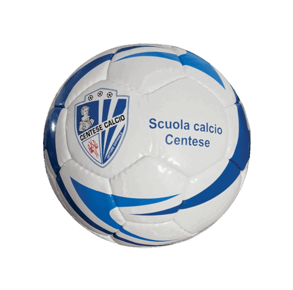 Custom Printed Football - Image 11