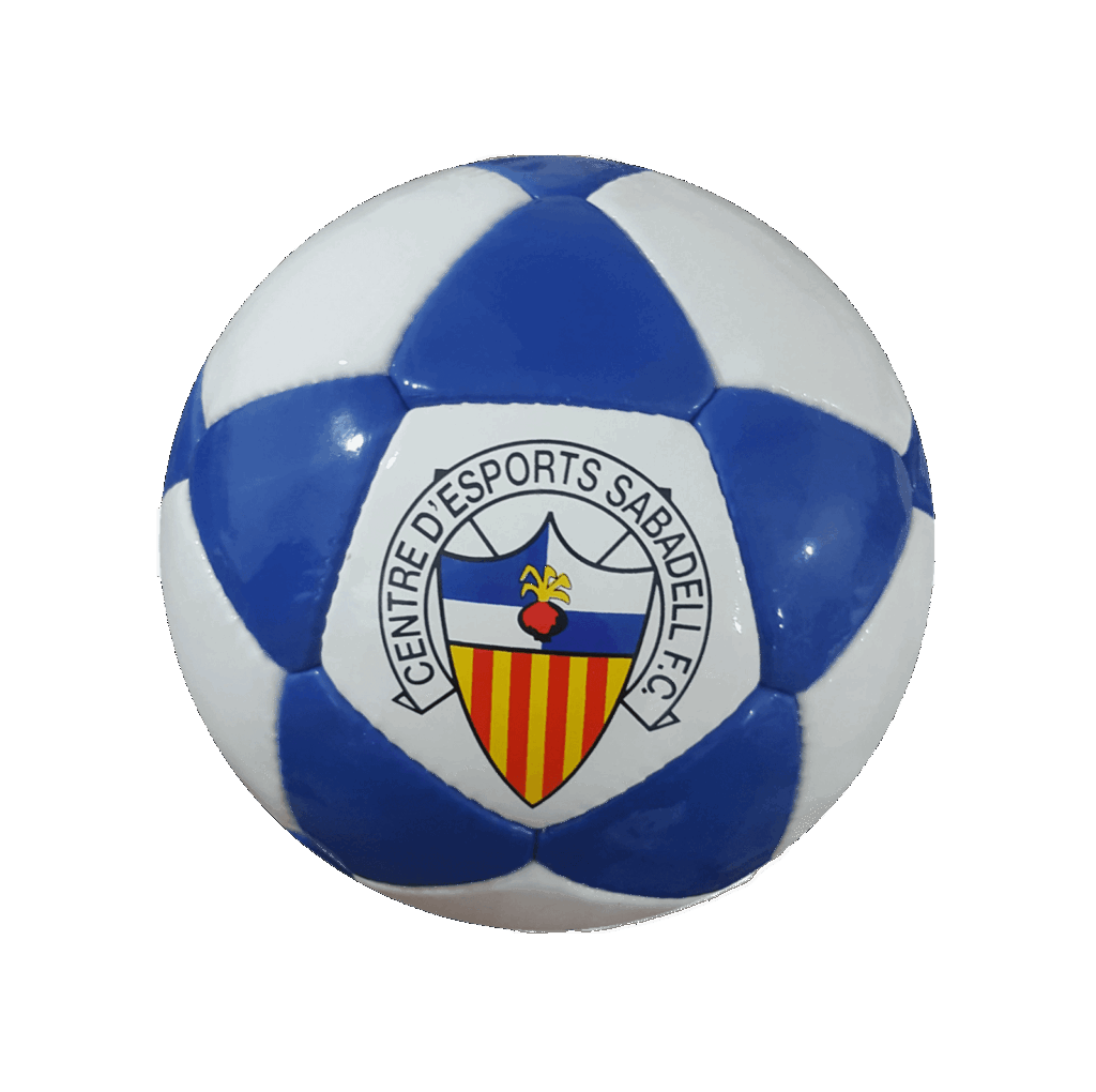 Custom Printed Football - Image 12