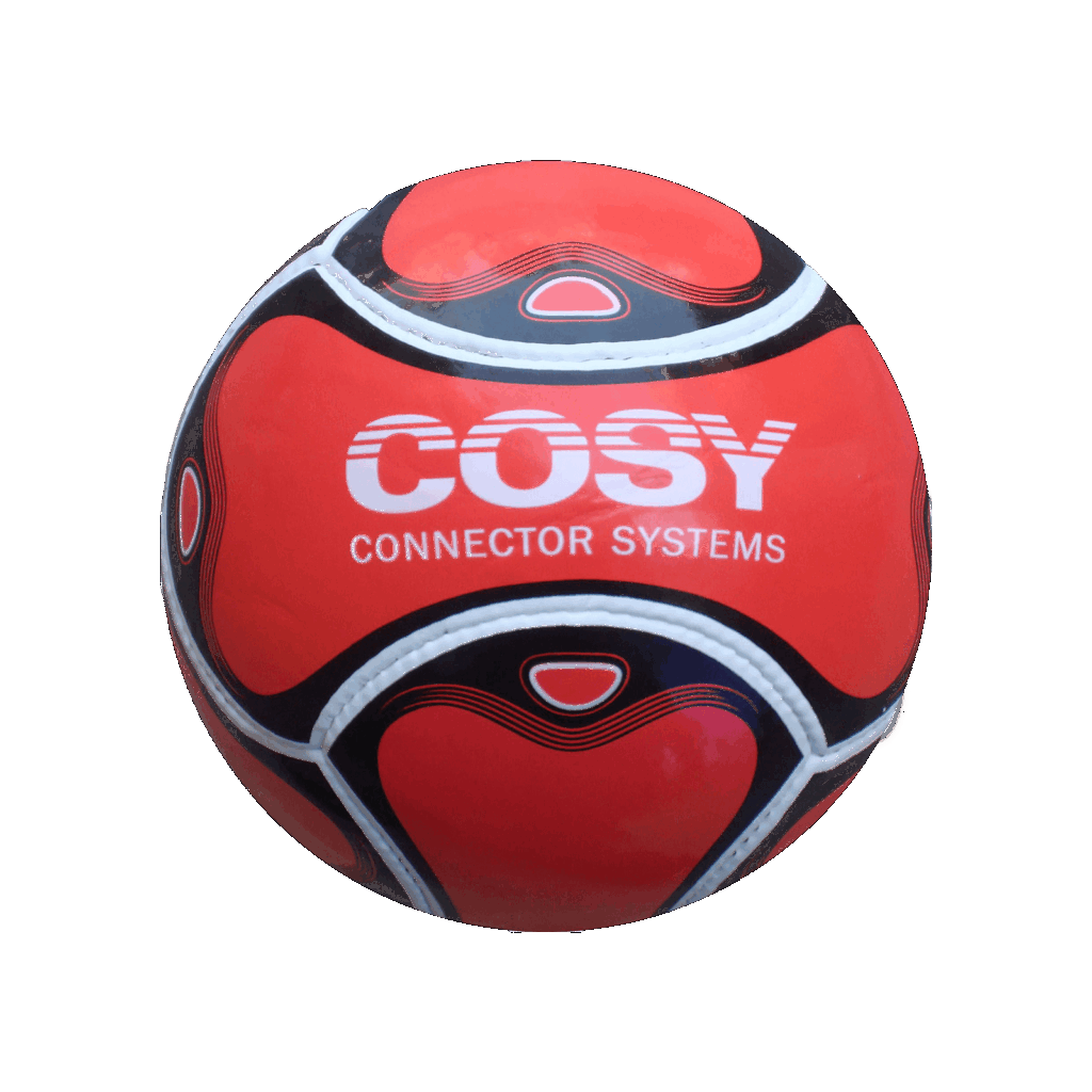 Custom Printed Football - Image 4