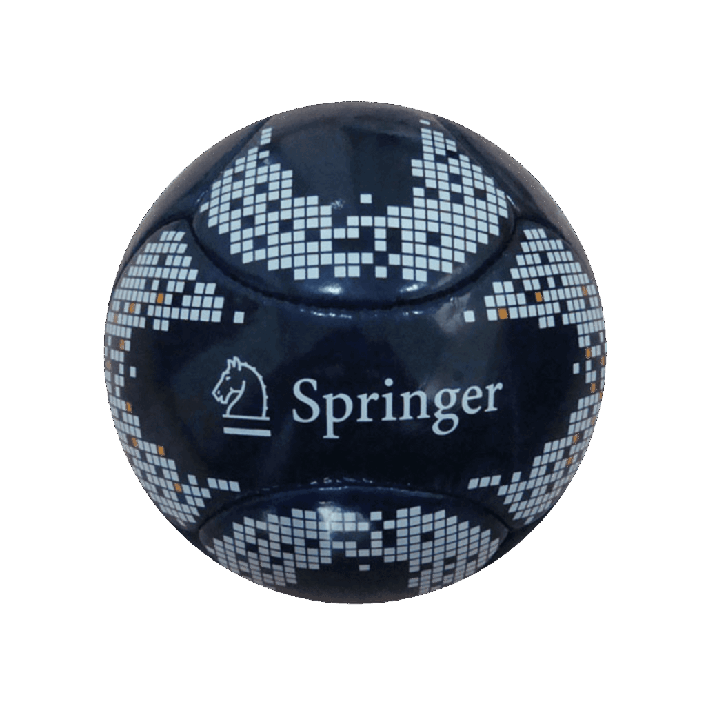 Custom Printed Football - Image 6