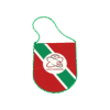 Hercules Merchandise printed pennant