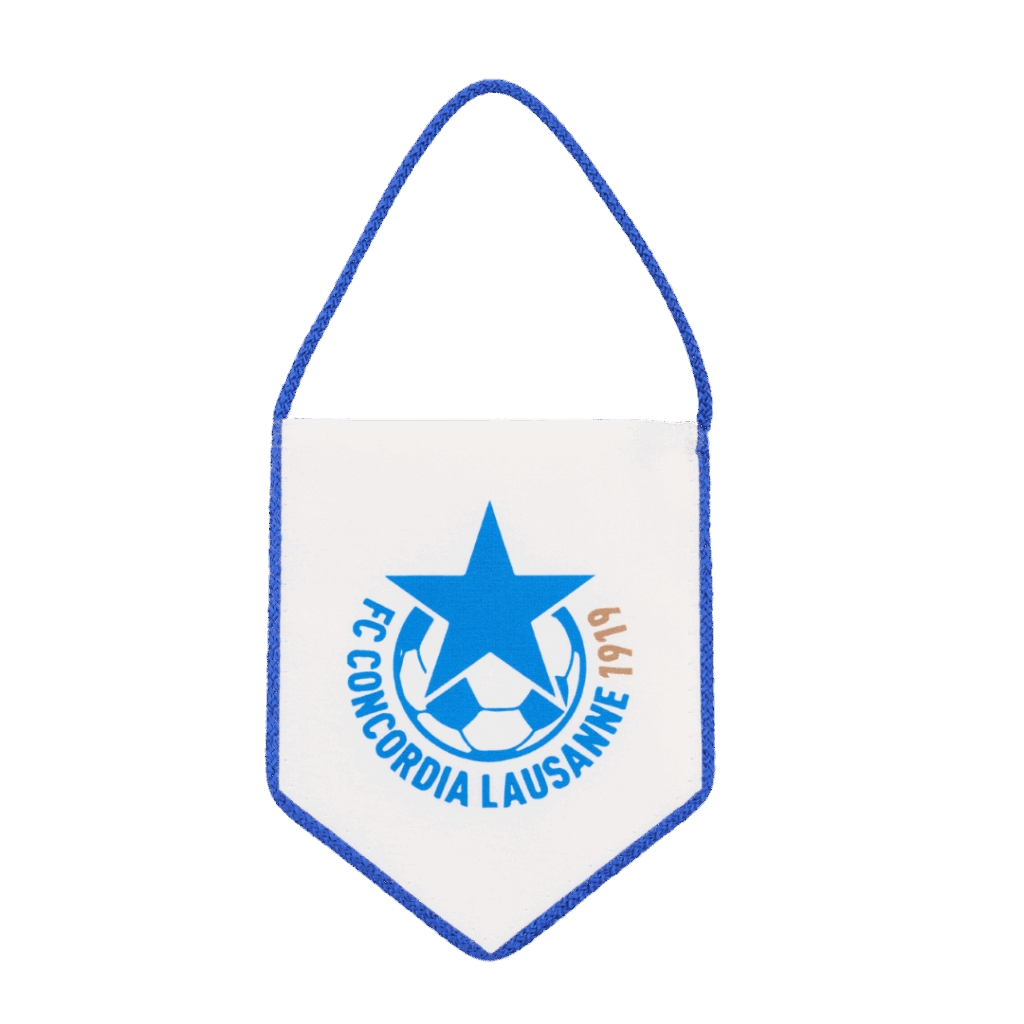 Hercules Merchandise printed pennant
