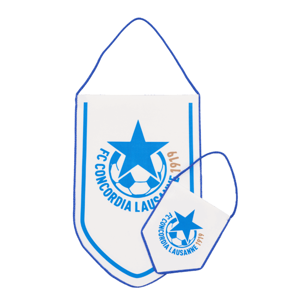 Hercules Merchandise printed pennant