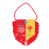 Hercules Merchandise printed pennant