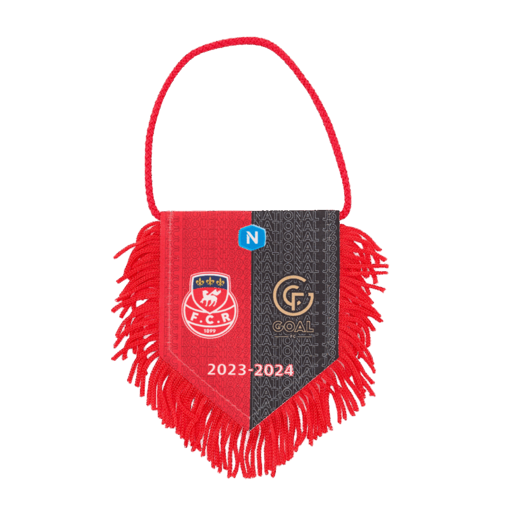 Hercules Merchandise printed pennant