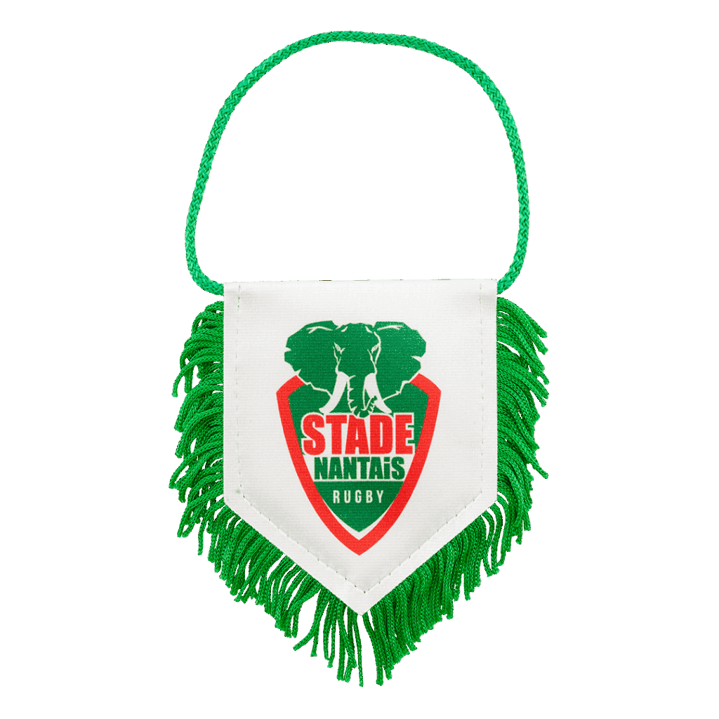 Hercules Merchandise printed pennant