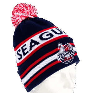Hercules Merchandise standard knitted beanie hat